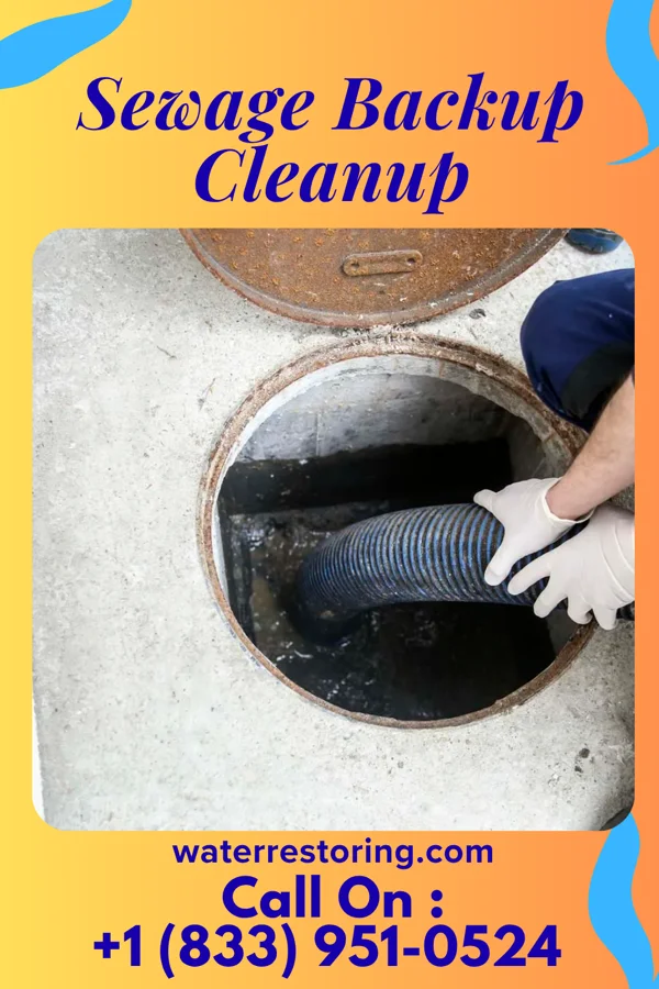 Sewage Backup Cleanup in Collins, MS