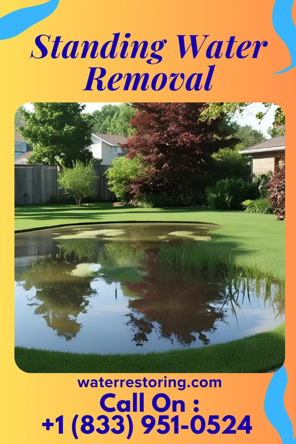 Standing Water Removal in Collins, MS